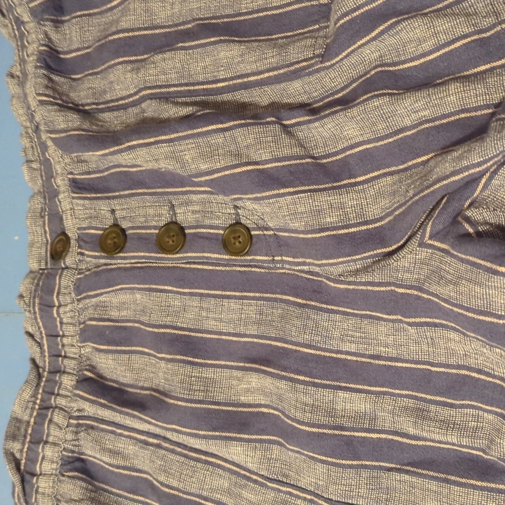 Popsugar blue striped shorts